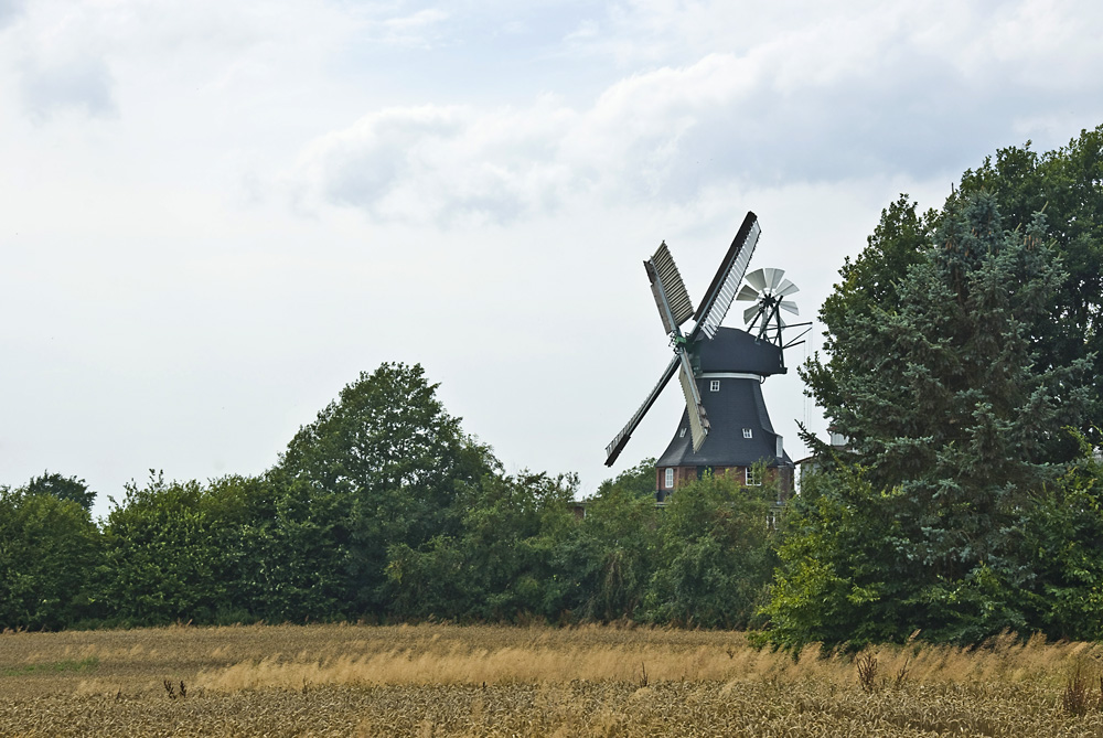 Windmhle in Gtzberg