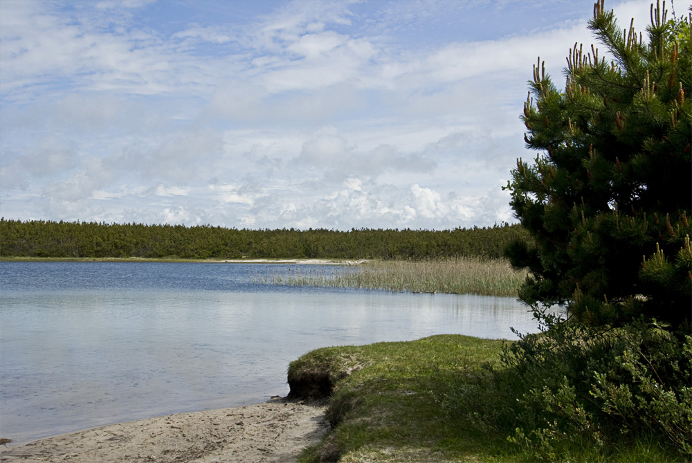 Am Swasserbadesee