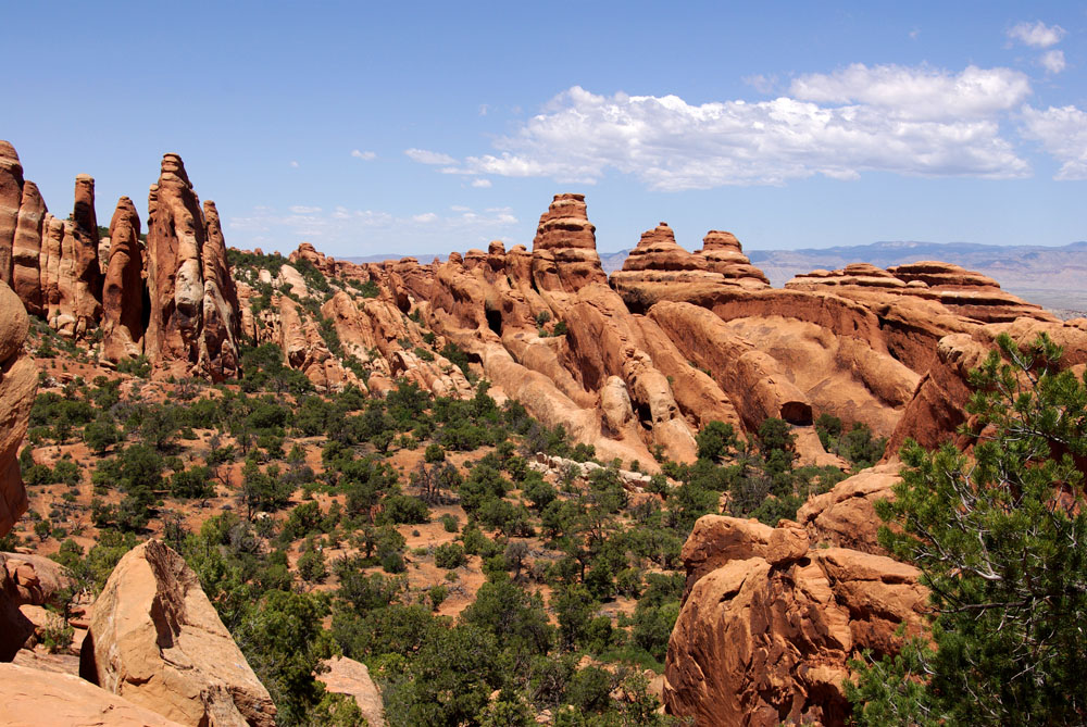 Im Arches National Park