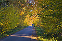 Herbstweg