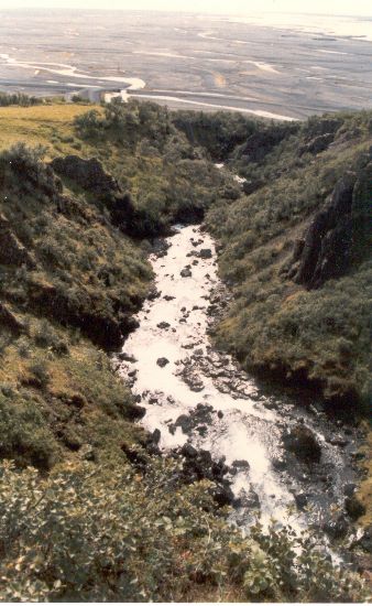 ../Images/219Skaftafell.jpg