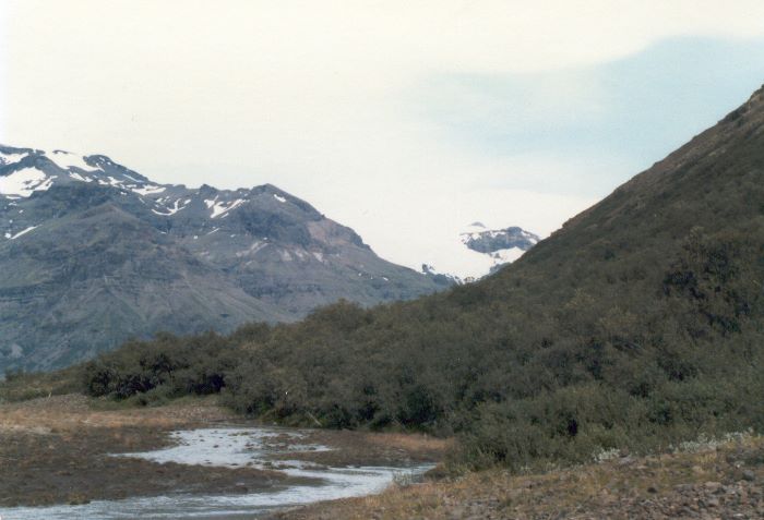 ../Images/225Skaftafell.jpg