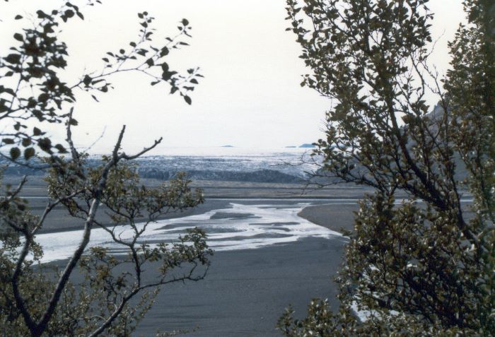 ../Images/226Skaftafell.jpg