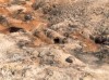 Thumbs/tn_170Namaskard.jpg
