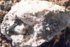 Thumbs/tn_183Namaskard.jpg