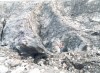 Thumbs/tn_234Skaftafell.jpg