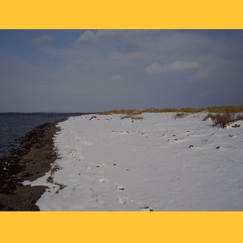 Neuschnee macht die K�ste wei�.