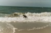 Thumbs/tn_2003AmStrand6.jpg