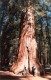 Thumbs/tn_016.Yosemite.jpg