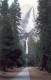 Thumbs/tn_024.Yosemite.jpg